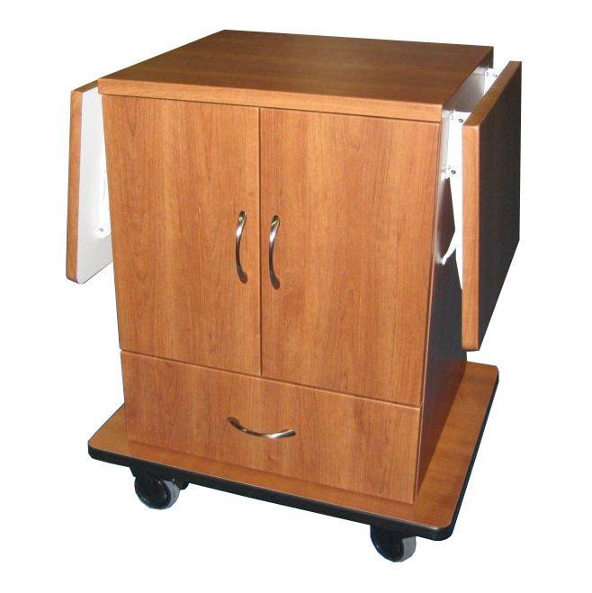 Health Management and Leadership Portal Medical device trolley Leo