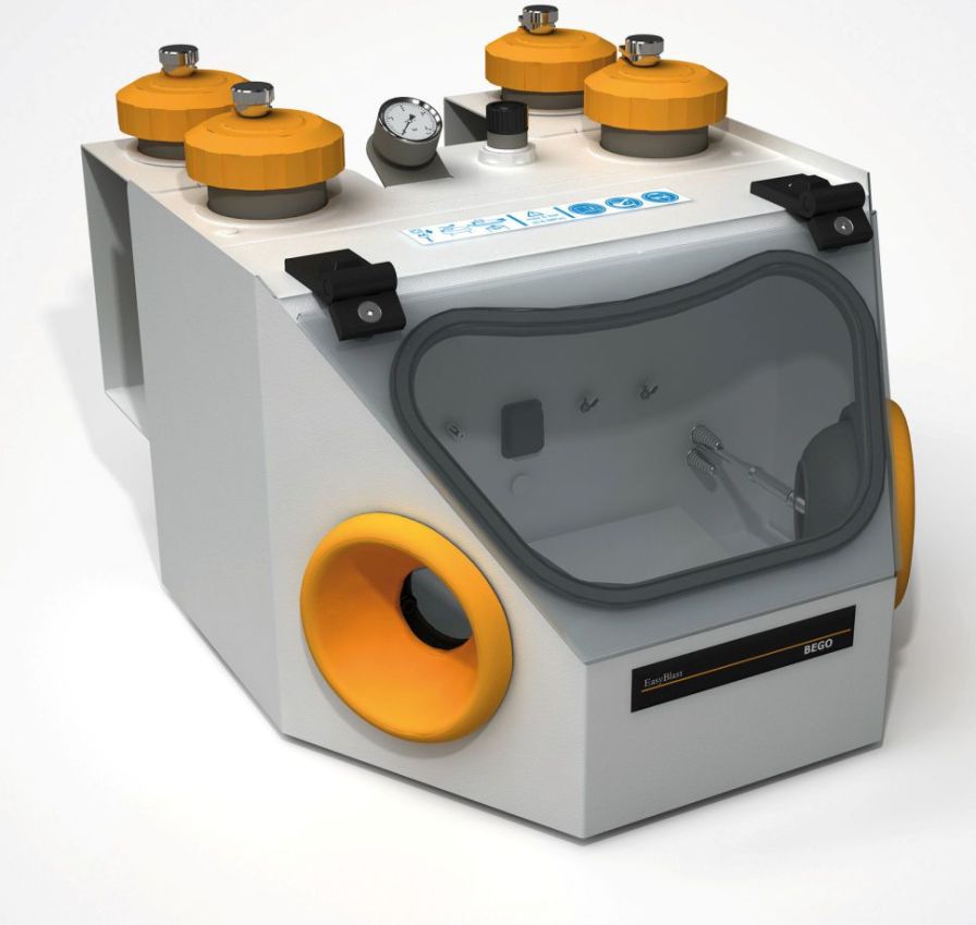 Health Management and Leadership Portal Induction dental laboratory