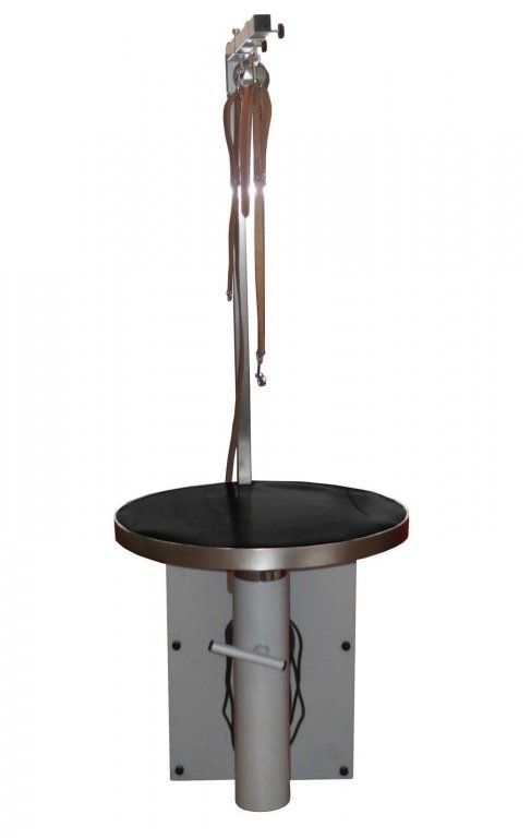 rotating grooming table