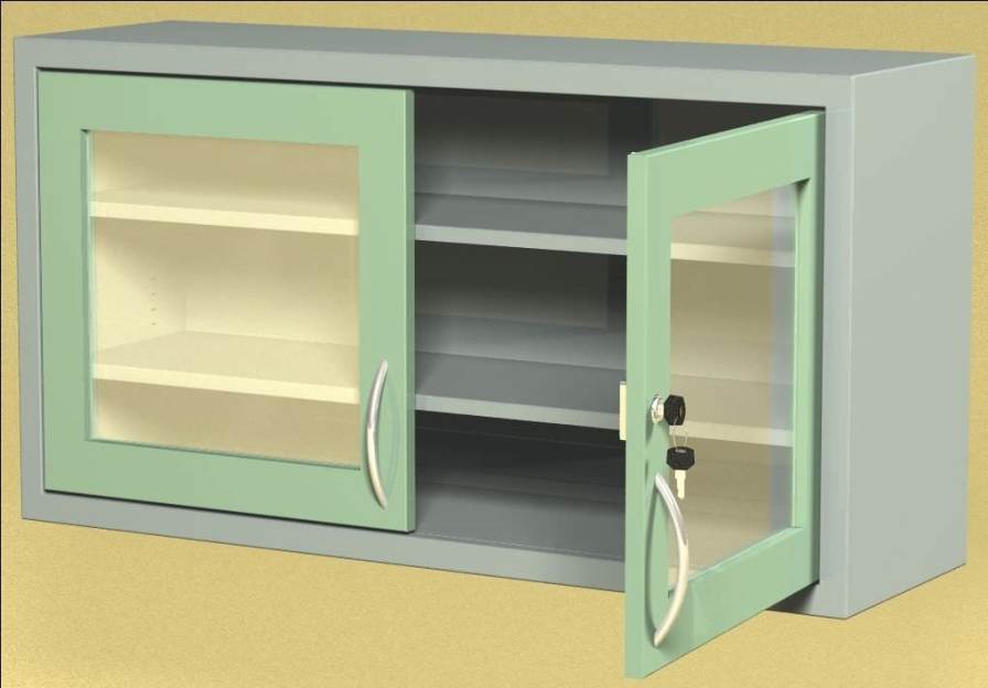 Health Management and Leadership Portal Medical / medical