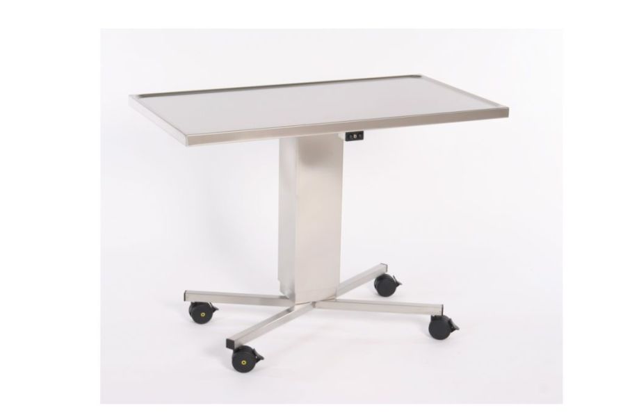 Health Management and Leadership Portal Instrument table / on casters