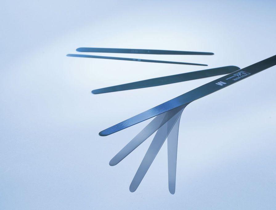 Health Management and Leadership Portal Brain spatula NOIR® Spatulas