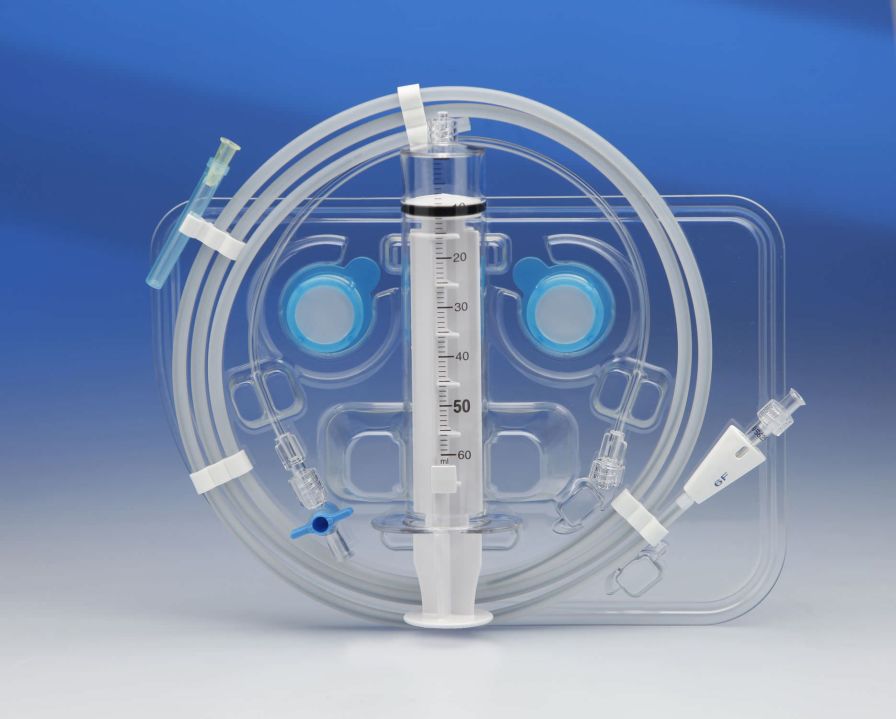 Health Management and Leadership Portal Chronic total occlusion