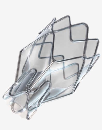 Endobronchial valve bioprosthesis ZEPHYR® pulmonX Endobronchial valve bioprosthesis ZEPHYR® pulmonX