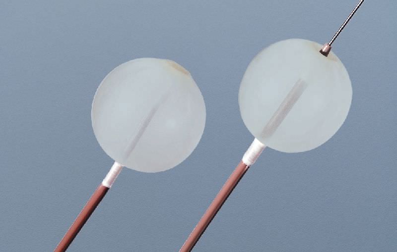 Health Management and Leadership Portal Occlusion catheter / balloon