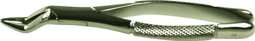 Veterinary dental extraction forceps / for premolars 12210 / 12211 / 12213 Harlton's Equine Specialties Veterinary dental extraction forceps / for premolars 12210 / 12211 / 12213 Harlton's Equine Specialties