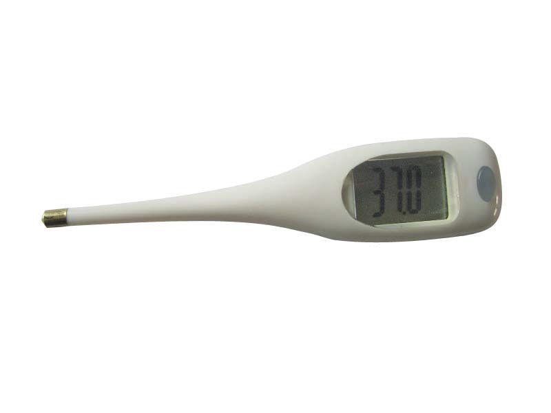 Health Management and Leadership Portal Veterinary thermometer