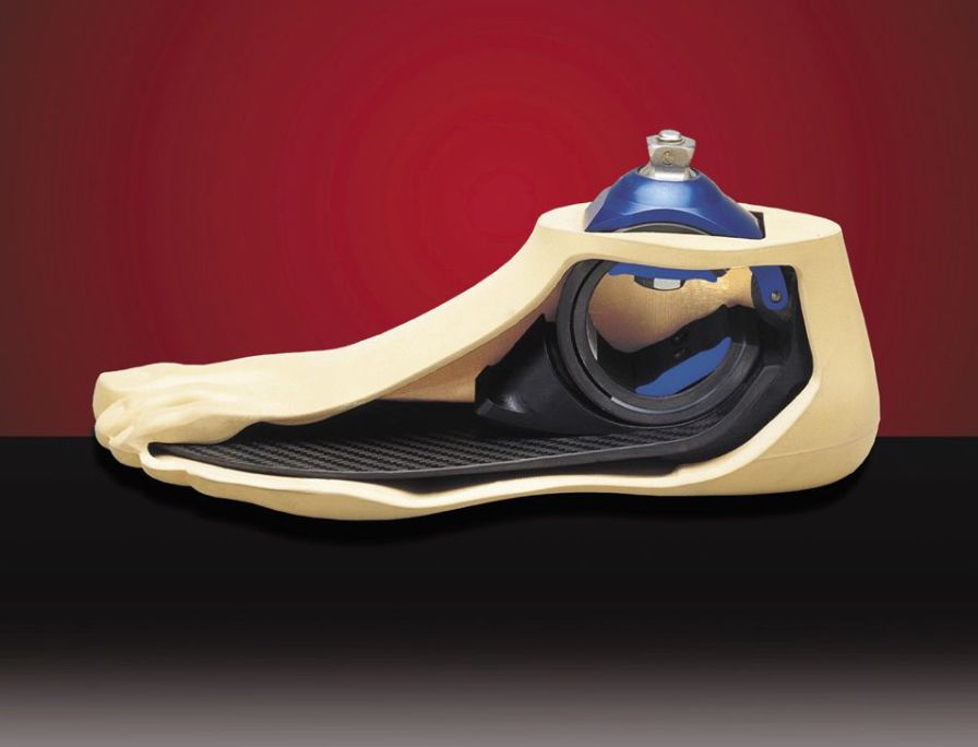 Health Management and Leadership Portal Foot prosthesis (lower