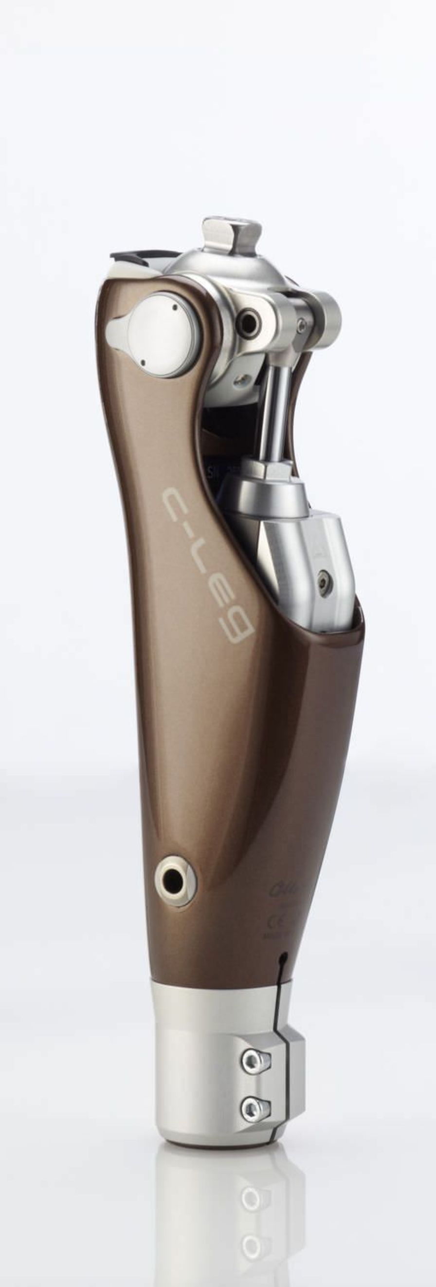 Health Management and Leadership Portal Prosthetic knee joint (lower