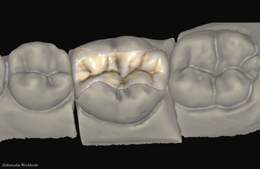 Health Management and Leadership Portal | CAD software / for dental ...