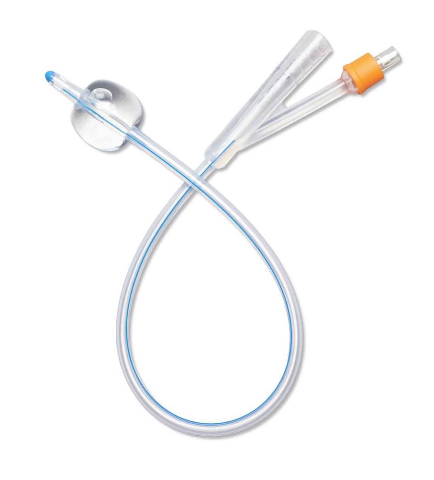 Health Management and Leadership Portal Foley catheter / with