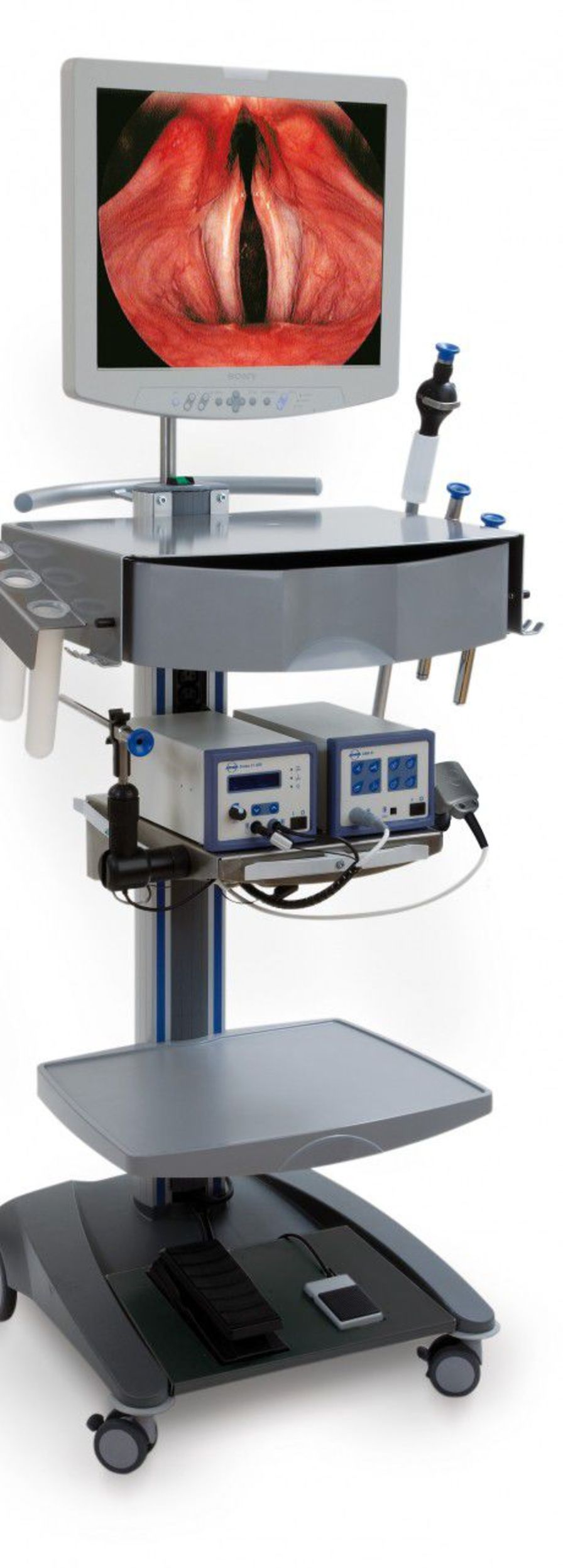 Health Management and Leadership Portal ENT workstation / 1station