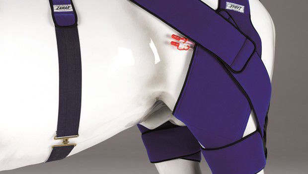 Leg veterinary orthosis Zamar Therapy Leg veterinary orthosis Zamar Therapy
