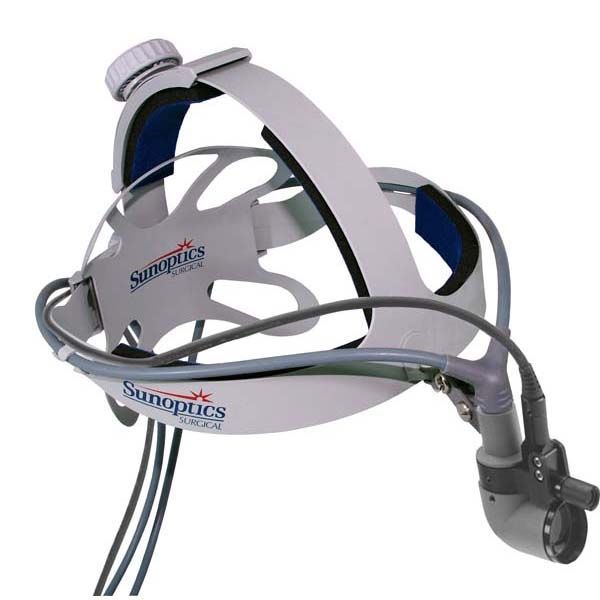 Health Management and Leadership Portal Fiber optic headlight / with