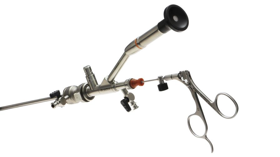 Health Management and Leadership Portal Nephroscope endoscope / rigid