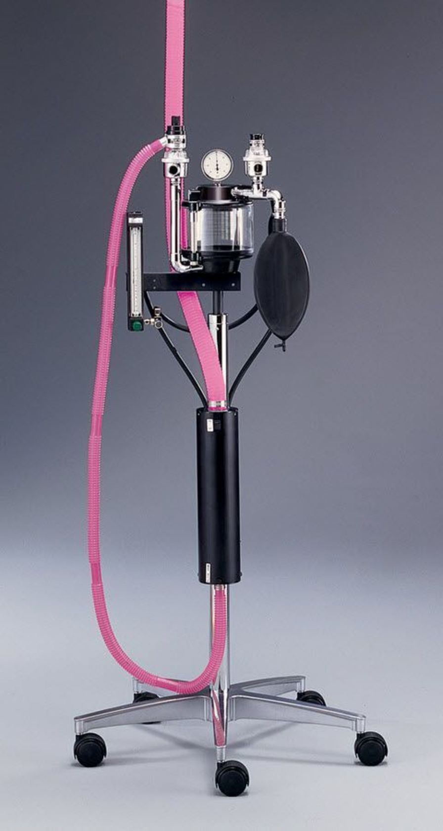 Health Management and Leadership Portal Anesthesia gas veterinary