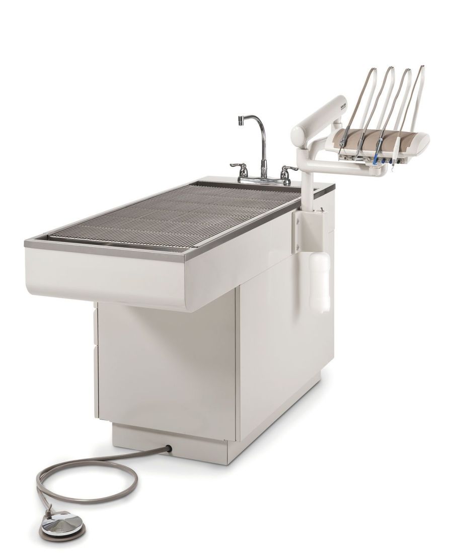 Health Management and Leadership Portal Veterinary dental treatment