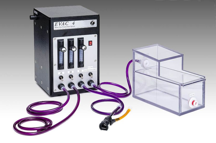 Health Management and Leadership Portal Bain anesthesia patient