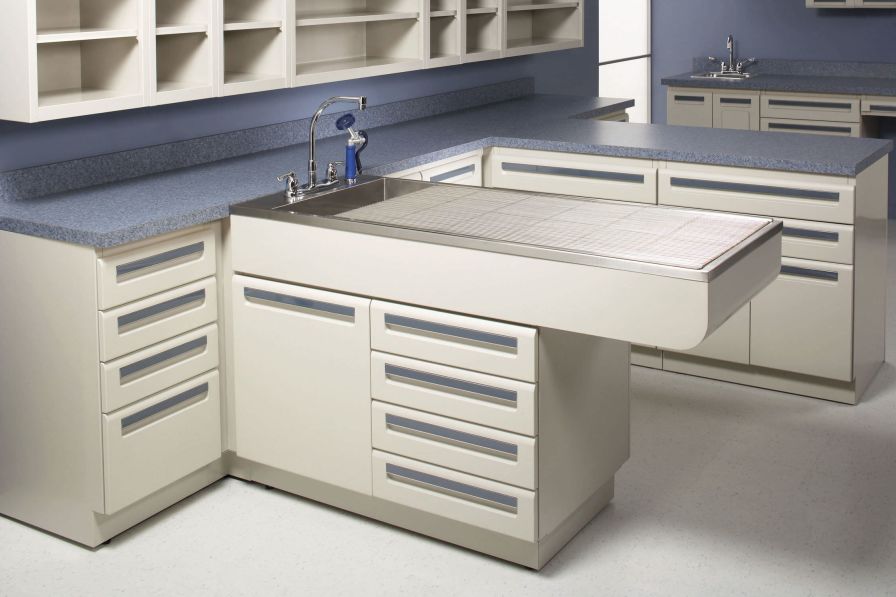 Health Management and Leadership Portal Veterinary examination table