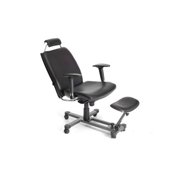 Health Management and Leadership Portal | Office chair / with armrests ...