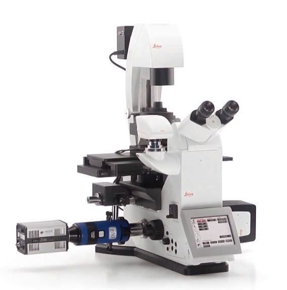 Health Management and Leadership PortalN Laboratory microscope