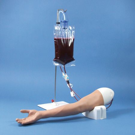 Venipuncture training simulator 00440 Limbs & Things Venipuncture training simulator 00440 Limbs & Things