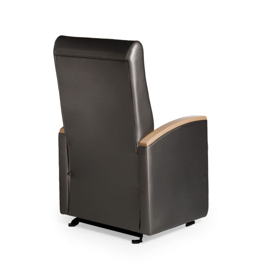 Health Management and Leadership Portal Rocker armchair Odeon OD1716