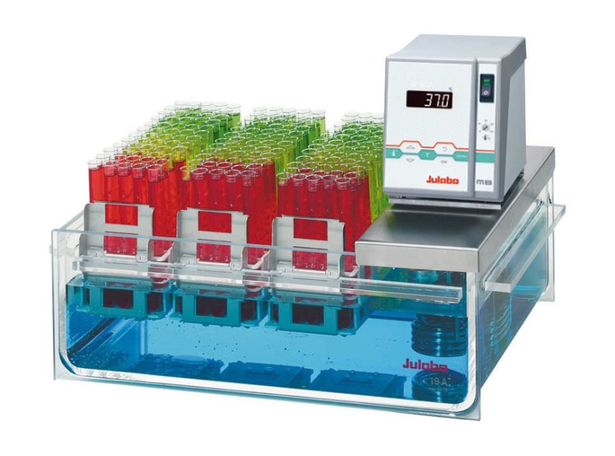 Warming laboratory water bath / circulating +20 °C ... +60 °C, 19 L | MB-19A Julabo Warming laboratory water bath / circulating +20 °C ... +60 °C, 19 L | MB-19A Julabo
