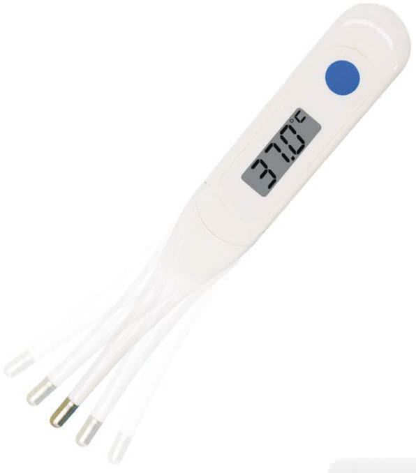 Health Management and Leadership Portal Medical thermometer