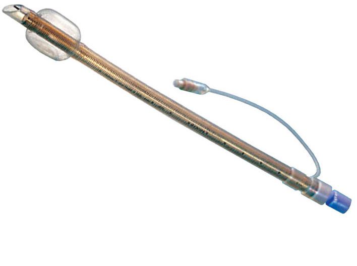 Health Management and Leadership Portal Veterinary endotracheal tube