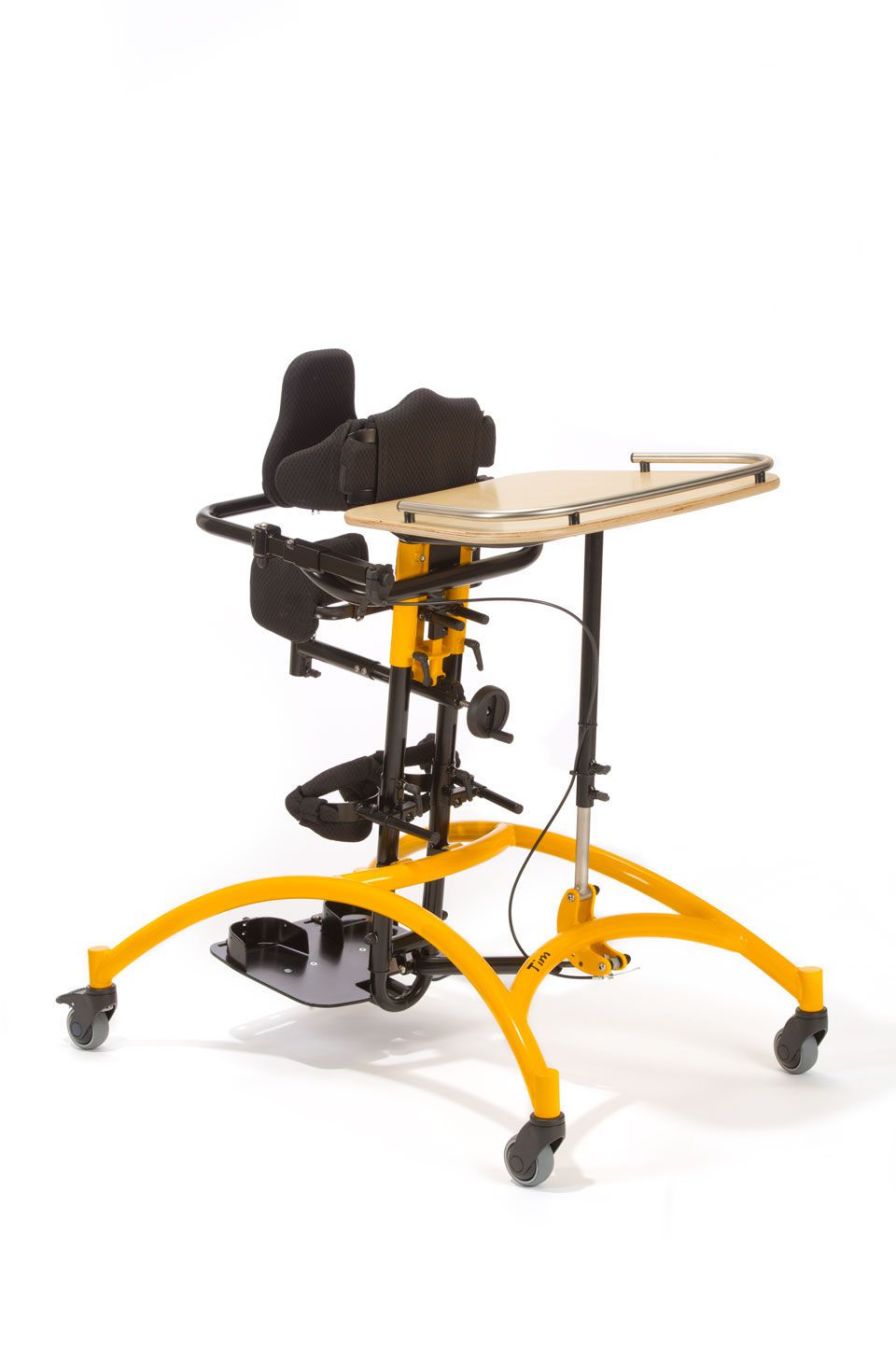 Health Management and Leadership Portal Pediatric standing frame Hip