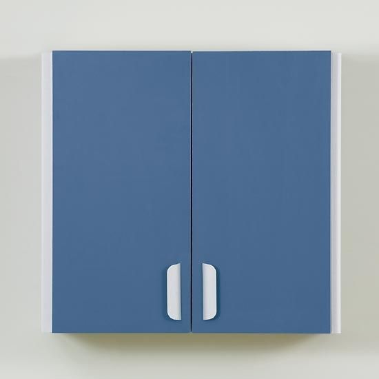 Health Management and Leadership Portal Medical / medical