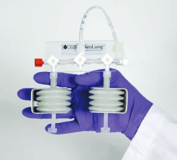 Health Management and Leadership Portal Infant test lung NeoLung