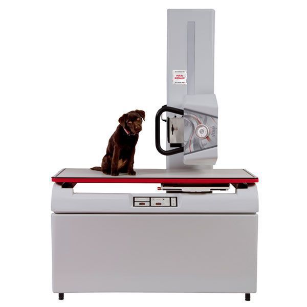 Veterinary X-ray radiology system InnoVet™ Versa InnoVet Veterinary X-ray radiology system InnoVet™ Versa InnoVet