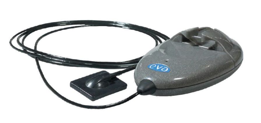 Veterinary dental radiography flat panel detector EVA Vet Image Works Veterinary dental radiography flat panel detector EVA Vet Image Works