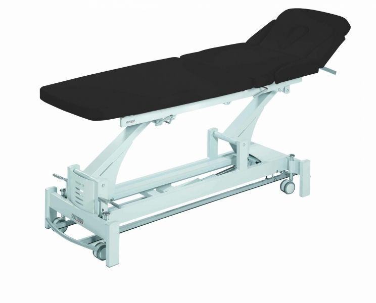 Health Management and Leadership PortalN Electrical massage table