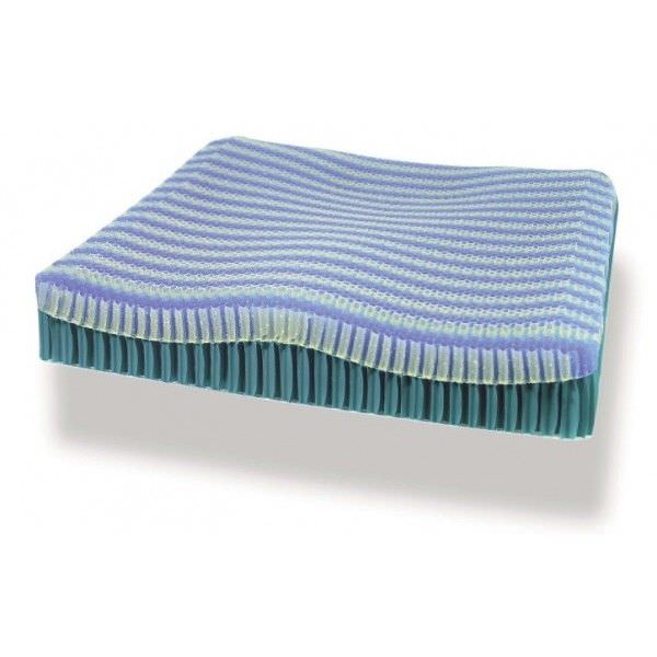 Health Management and Leadership Portal Antidecubitus cushion