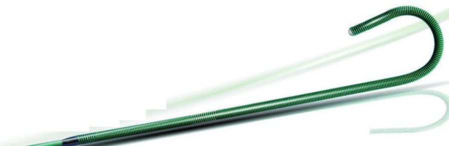 Catheter guidewire Occlutech Catheter guidewire Occlutech