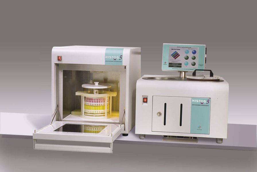 Health management and leadership portal tissue automatic sample