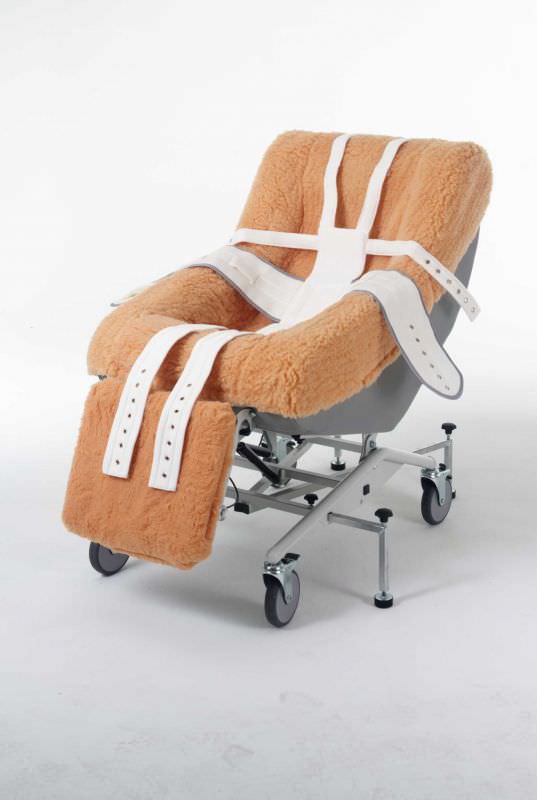Health Management and Leadership Portal Medical sleeper chair / on