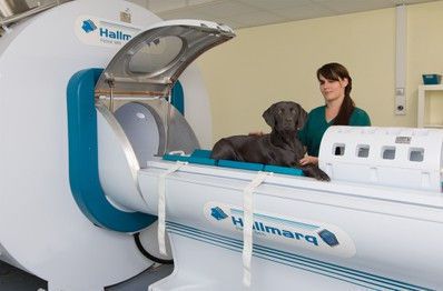 MRI system veterinary tomography system / for companion animals 1.5 T | PetVet Hallmarq Veterinary Imaging MRI system veterinary tomography system / for companion animals 1.5 T | PetVet Hallmarq Veterinary Imaging