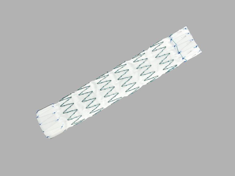 Health Management and Leadership Portal Endovascular stent graft