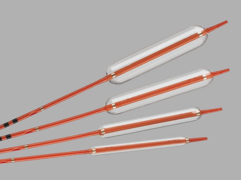 Health Management and Leadership Portal Dilatation catheter / biliary