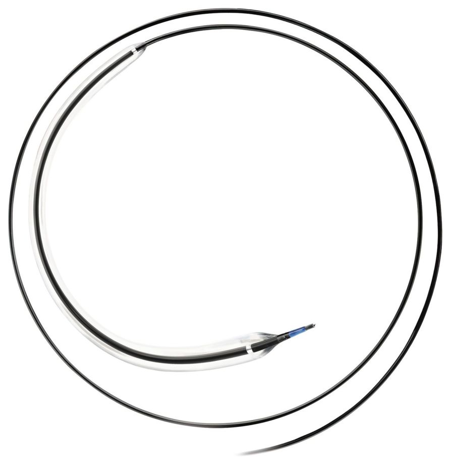 Health Management and Leadership Portal Dilatation catheter / balloon