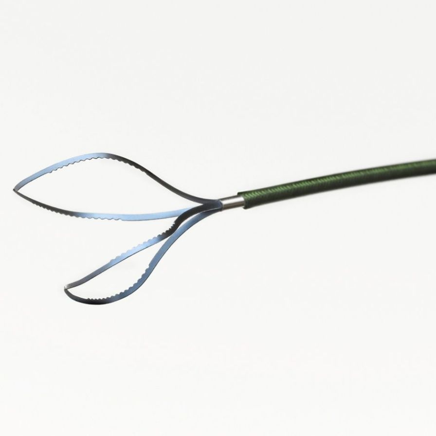 Health Management and Leadership Portal | Airway foreign body removal  endoscopic basket / tipless / straight Zero Tip™ Boston Scientific |  HealthManagement.org