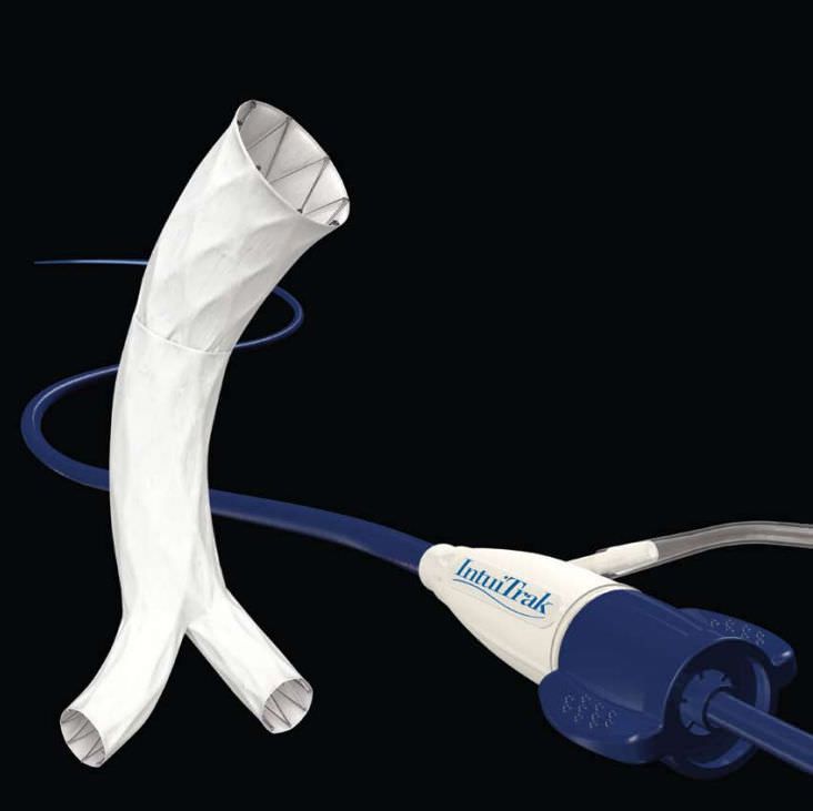 Abdominal stent graft IntuiTrak Endologix Abdominal stent graft IntuiTrak Endologix