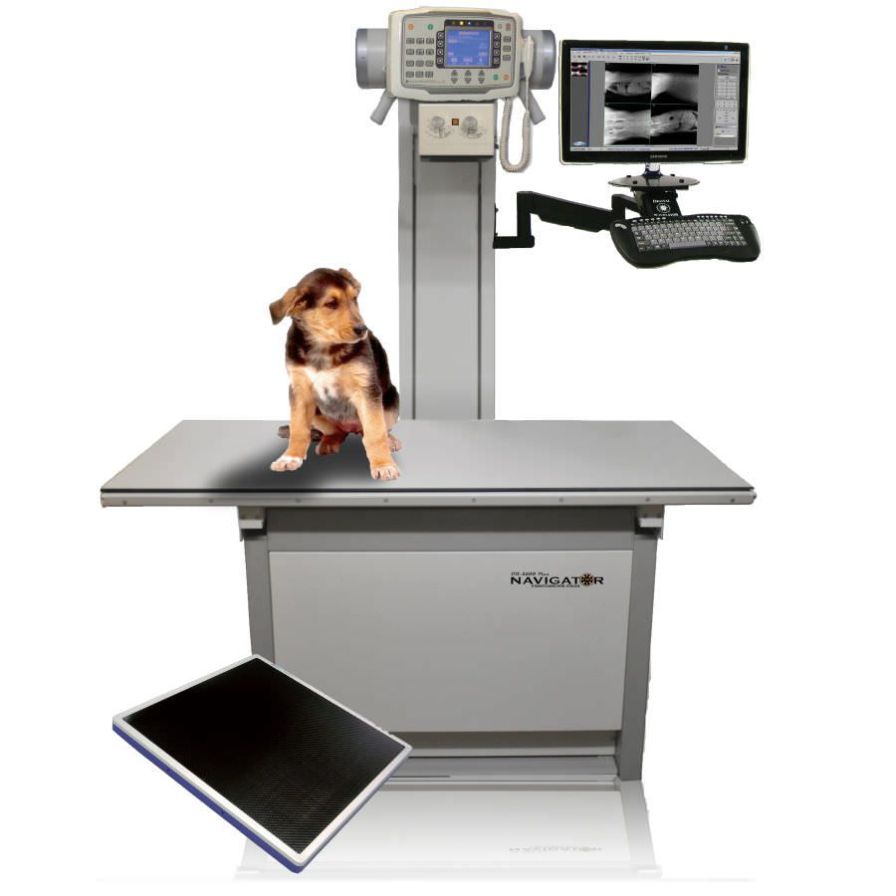 Health Management And Leadership Portal Veterinary X Ray Radiology System Dr 3500 Diagnostic 