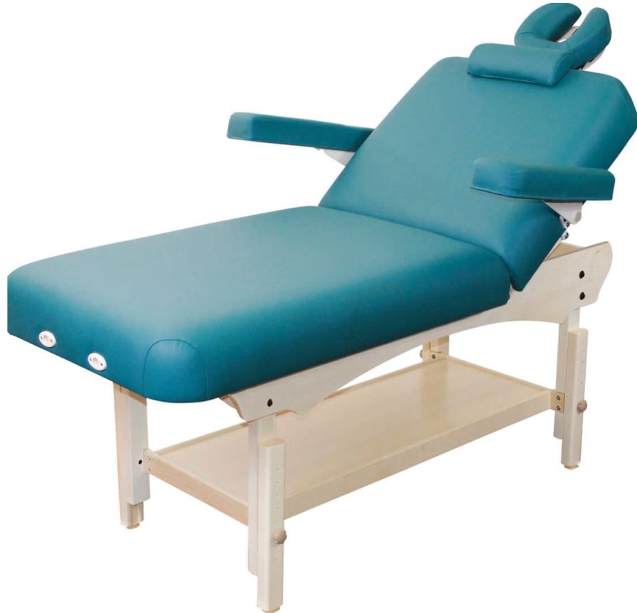 Health Management and Leadership Portal Manual massage table / heightadjustable / portable