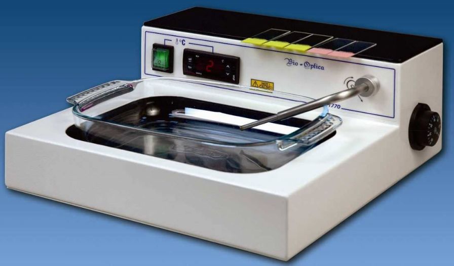 Health Management and Leadership Portal Histology slide laboratory