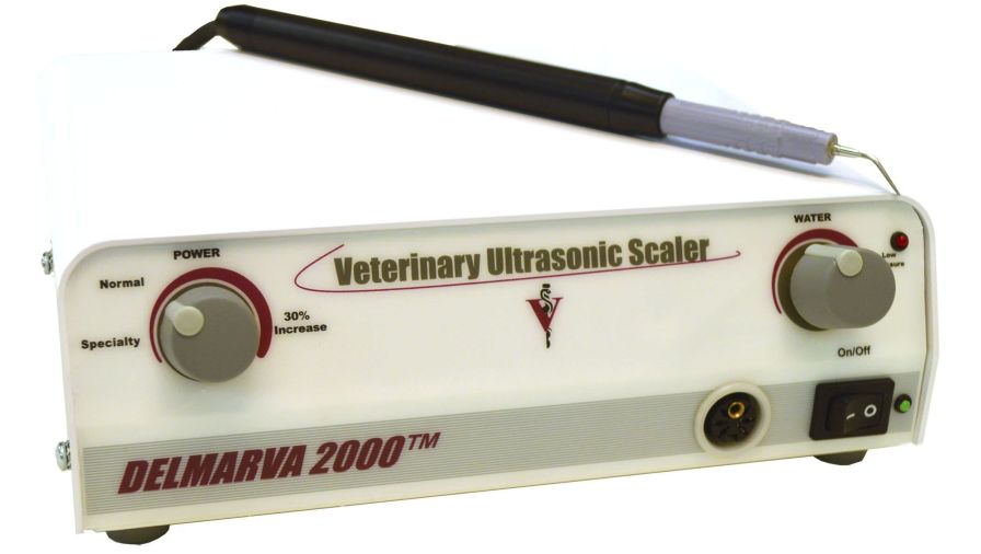 Health Management and Leadership Portal Ultrasonic dental scaler